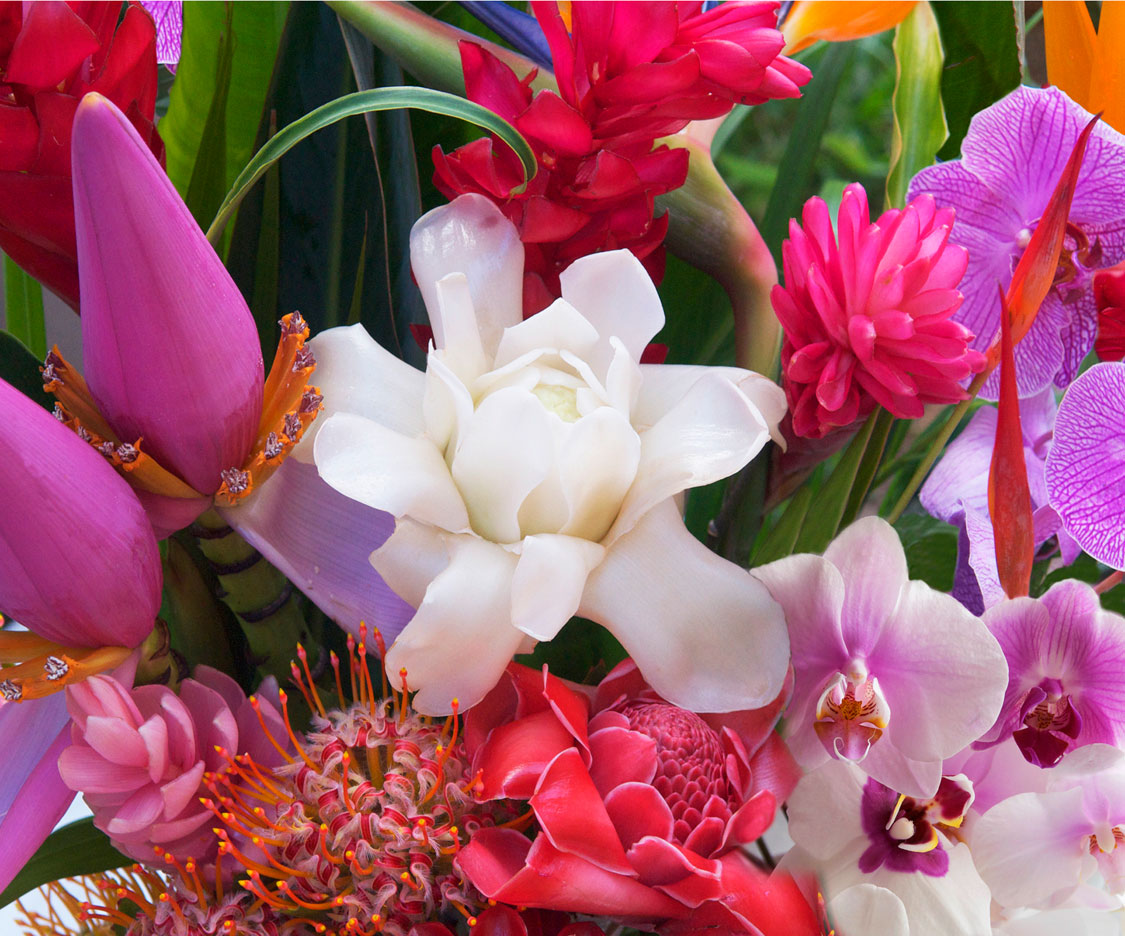 Flowers — Rebecca Lowell Art Flowers — Rebecca Lowell Art